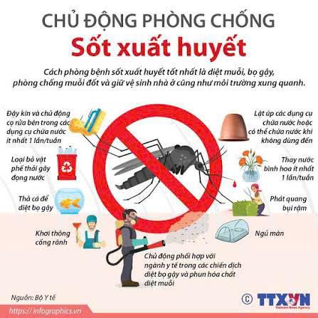 Bộ Y tế khuyến cáo các biện pháp phòng dịch sốt xuất huyết.